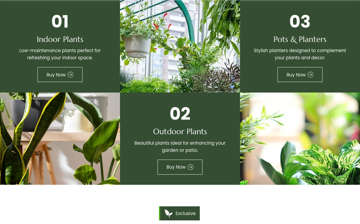 Indoor Plants