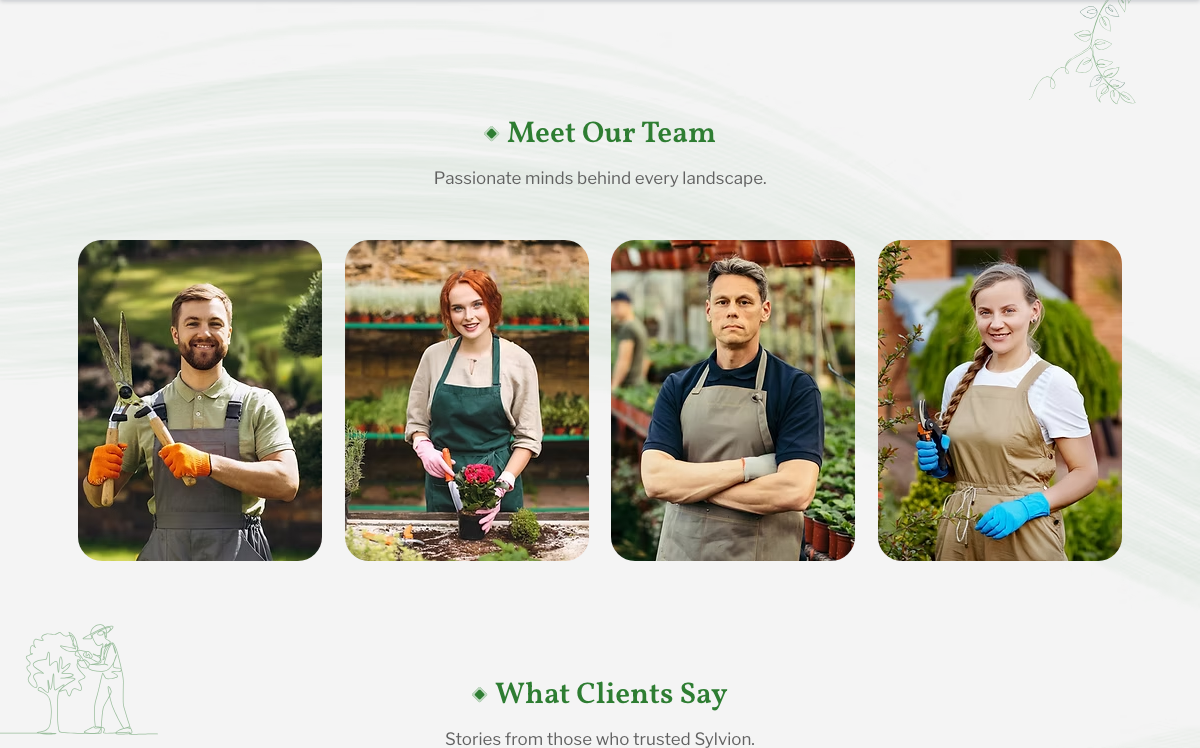 our team