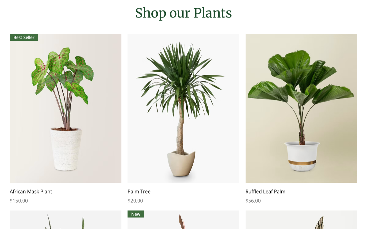 Shop