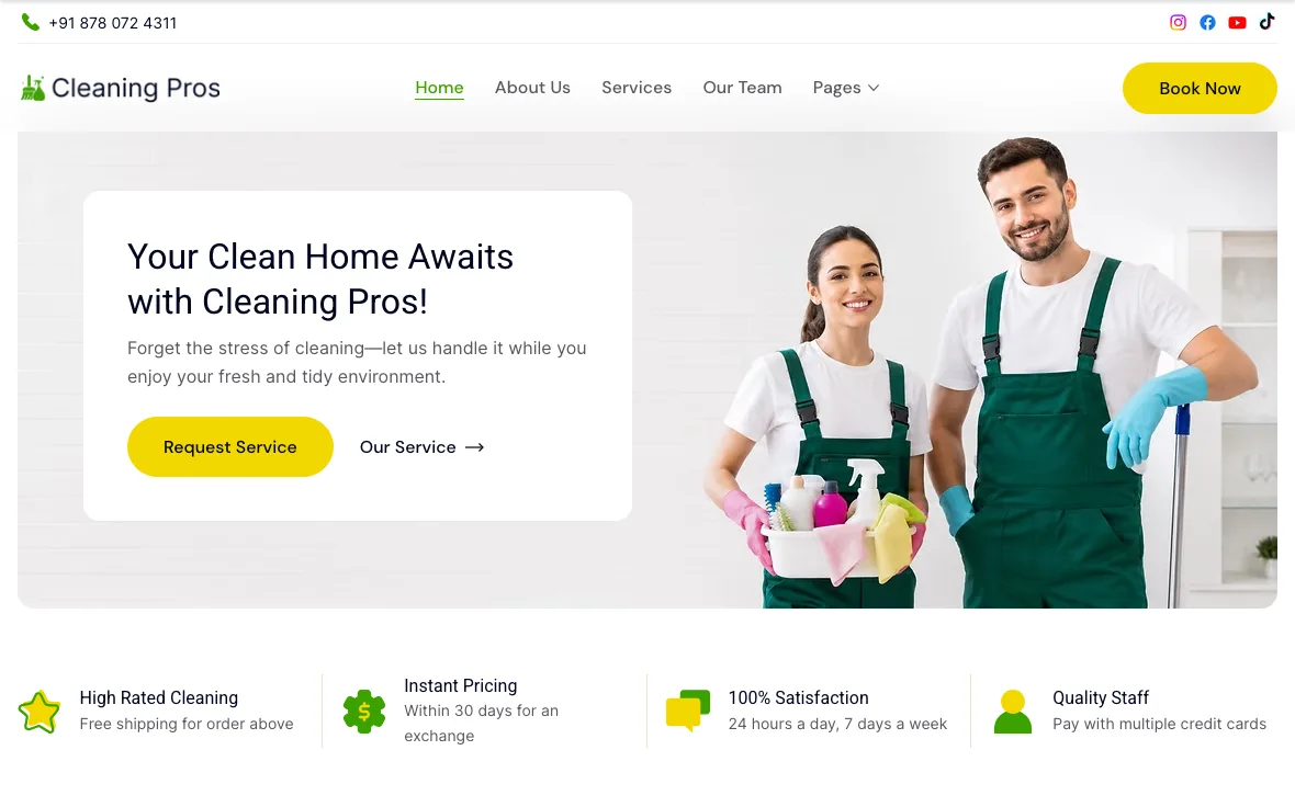 Cleaning Pros