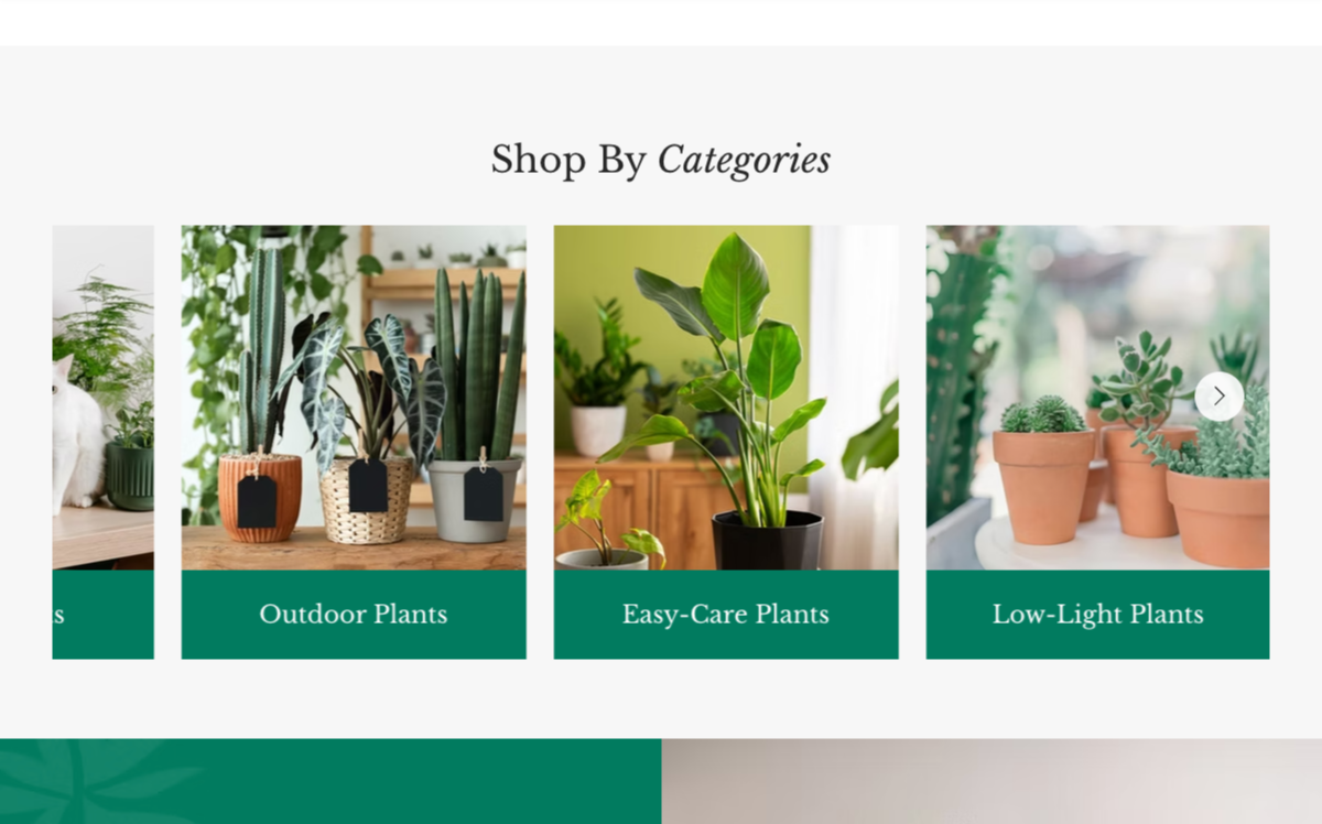 Shop By