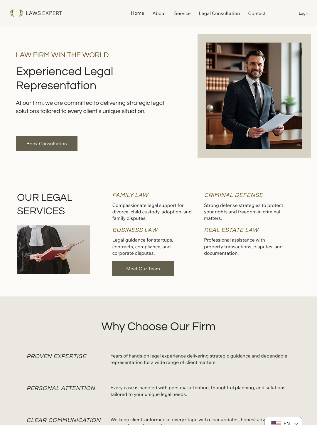 EXPERT LAWYER