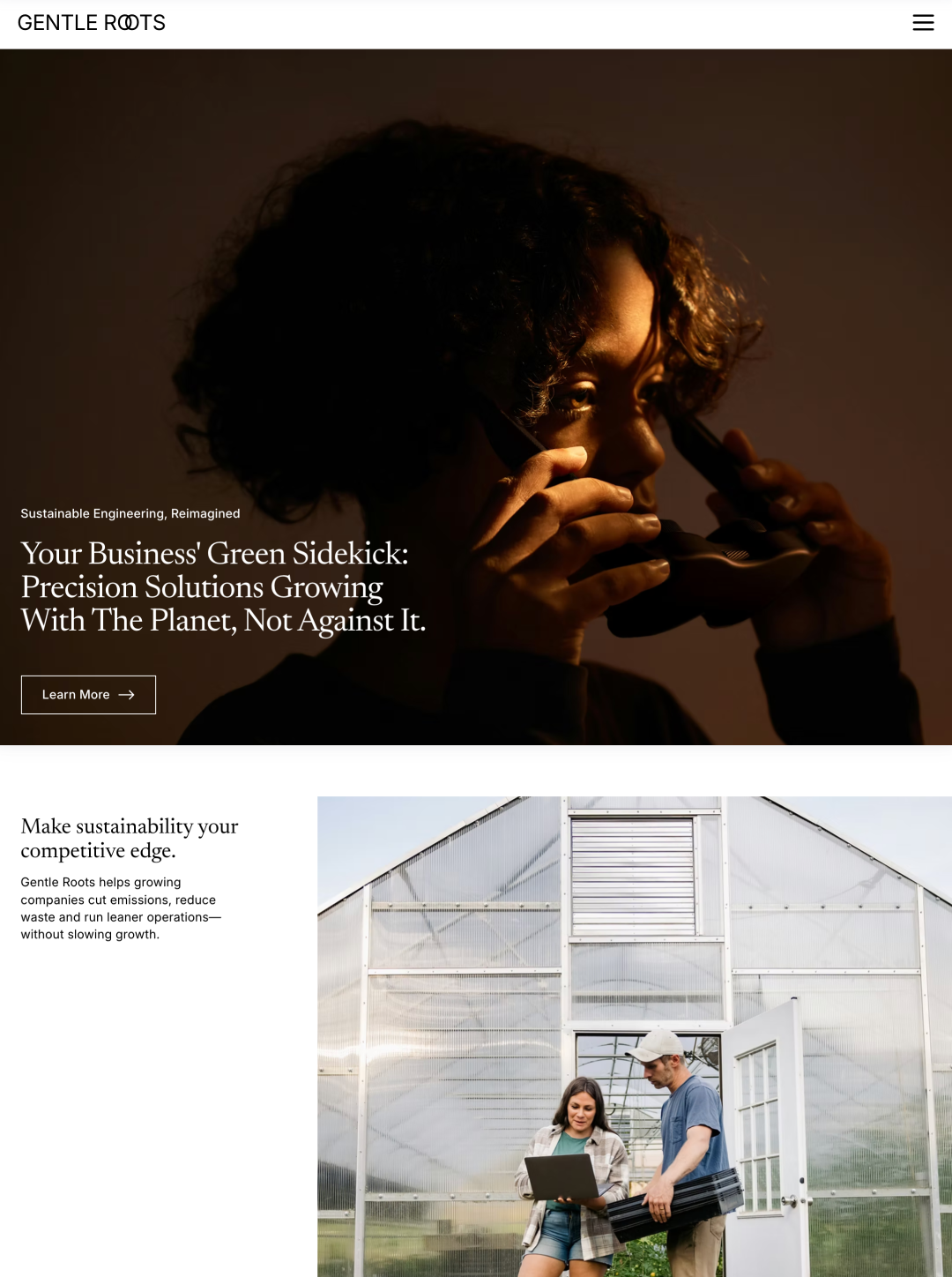 GreenConsulting Firm