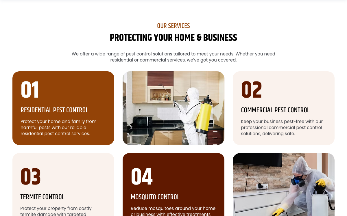 Our Services
