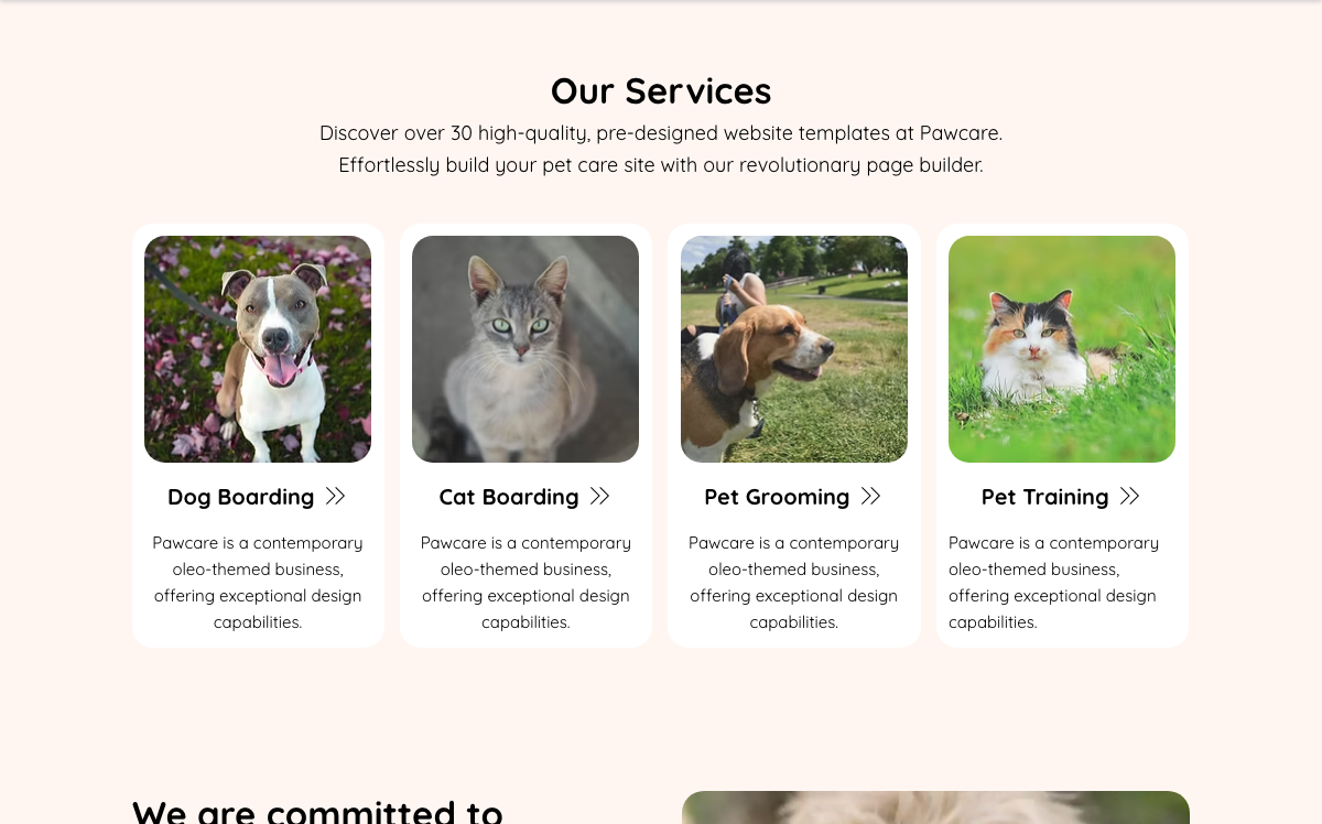Our Services