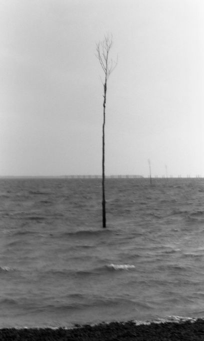 img20211230_12012773 2.jpg