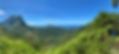 IMG_0425.jpeg