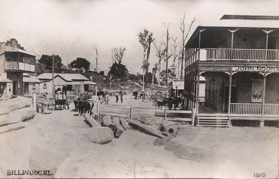historic billinudgel hotel accommodation
