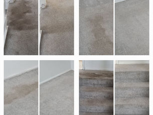 The Importance of Regular Carpet Cleaning for Your Home