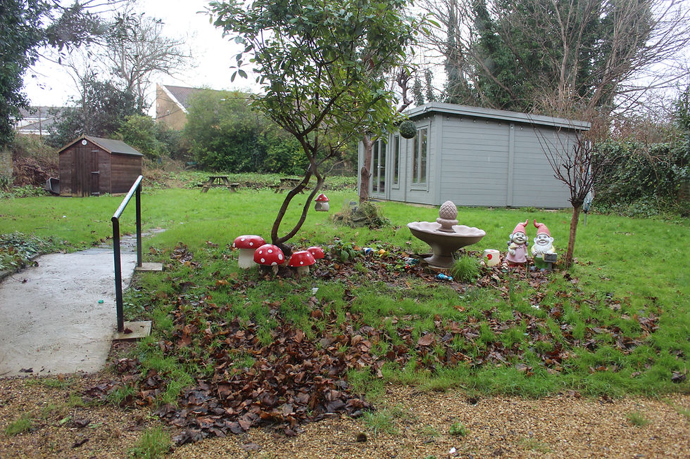 Our garden