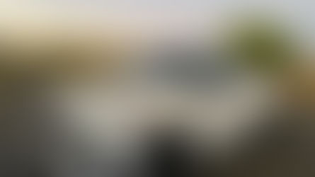 Synthesis: The 2021 Mercedes-Benz AMG GLE 53 Coupe