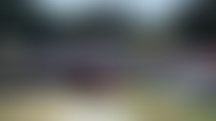 Every One's A Winner: The 2021 Hillsborough Concours