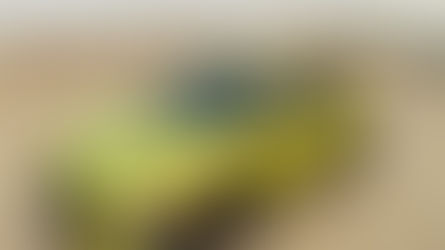 (Lime) Twistin' The Miles Away: The 2020 Hyundai Kona Ultimate FWD