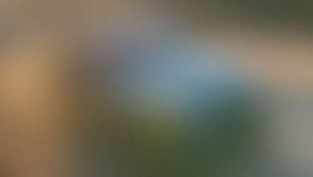 Last Drive: The 2024 MINI Cooper S Hardtop 4 Door