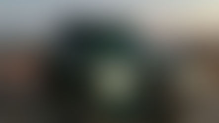 Swamp Creature: The 2024 Ford Bronco Everglades