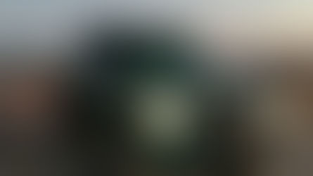 Swamp Creature: The 2024 Ford Bronco Everglades