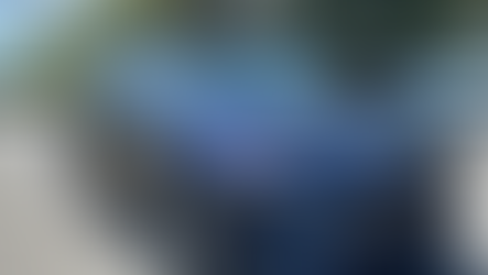 Plug-In Sticker Shock: The 2024 Lexus RX 450h+ Luxury AWD