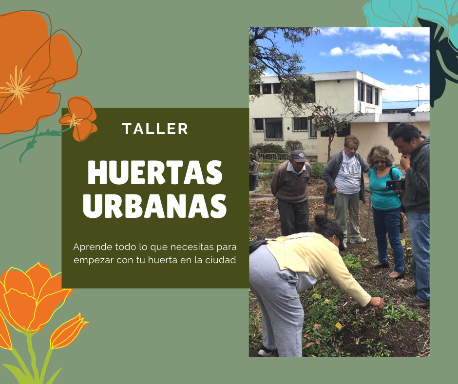 Taller huertas urbanas