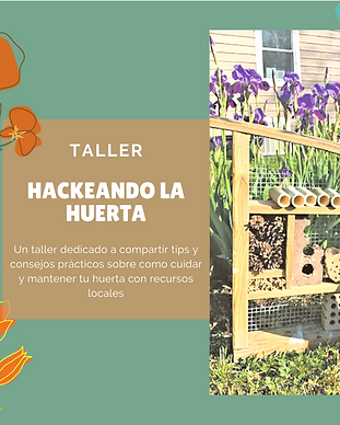Hackenado la huerta.png
