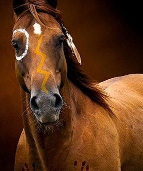 Honoring Indigenous Culture