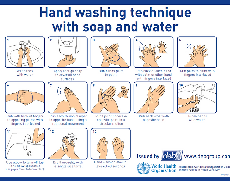 hand-washing-techniques.png
