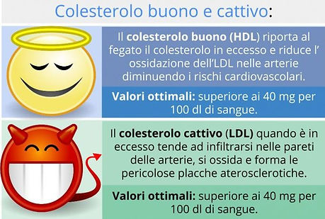 Colesterolo_buono_e_cattivo_700x525.jpg