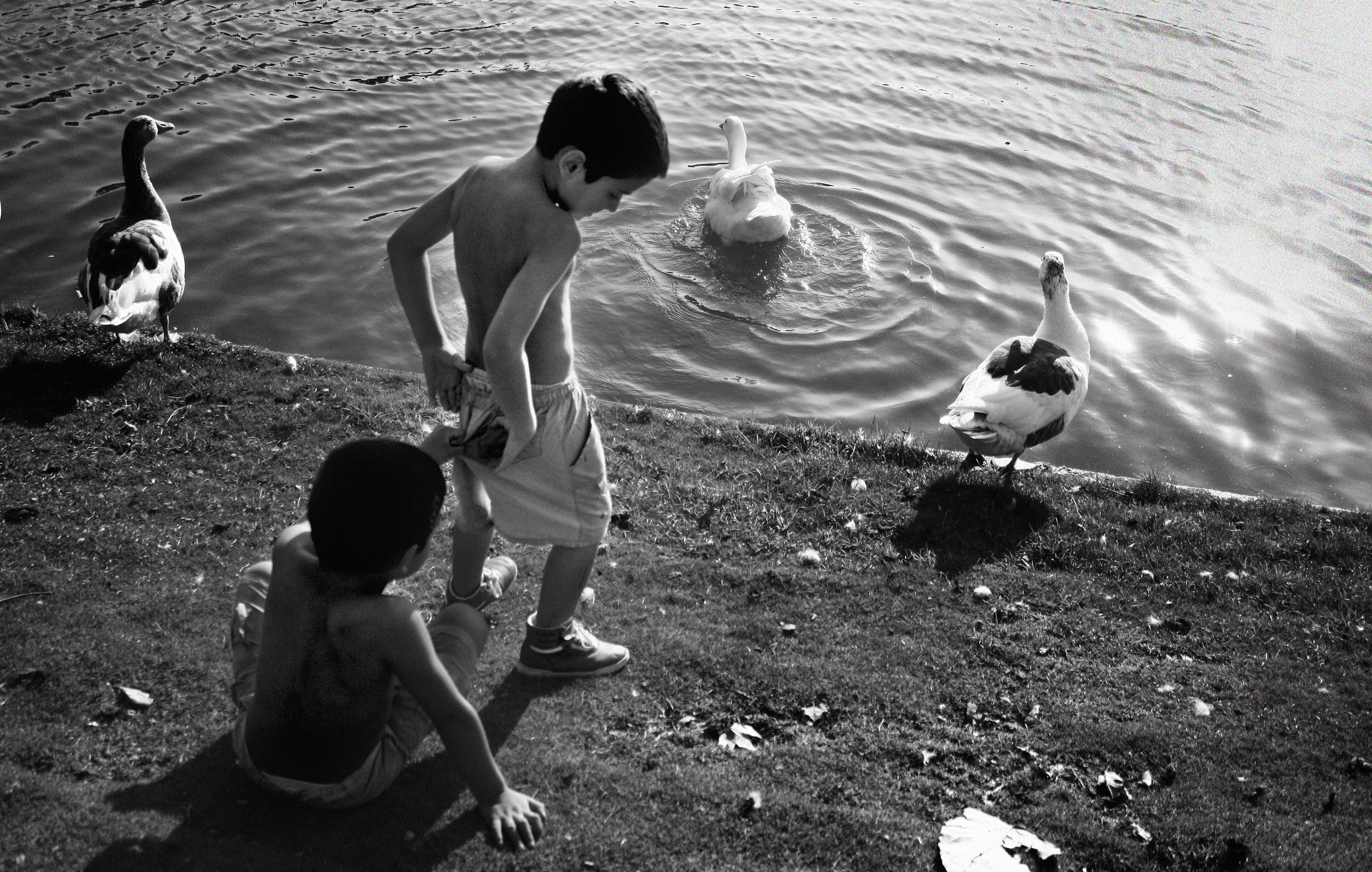 Innocence.