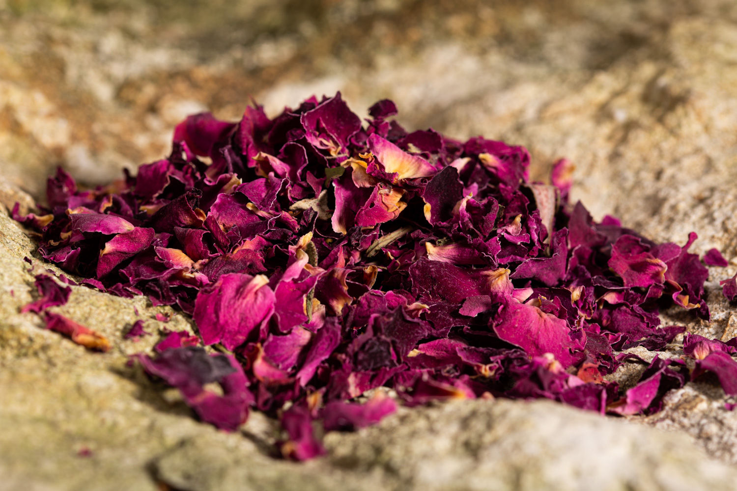 Rosenblüten (Rosa damascena, Rosa canina, Rosa rosarum)