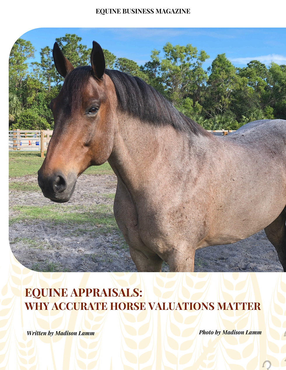 Equine Appraisals: Why Accurate Horse Valuations Matter