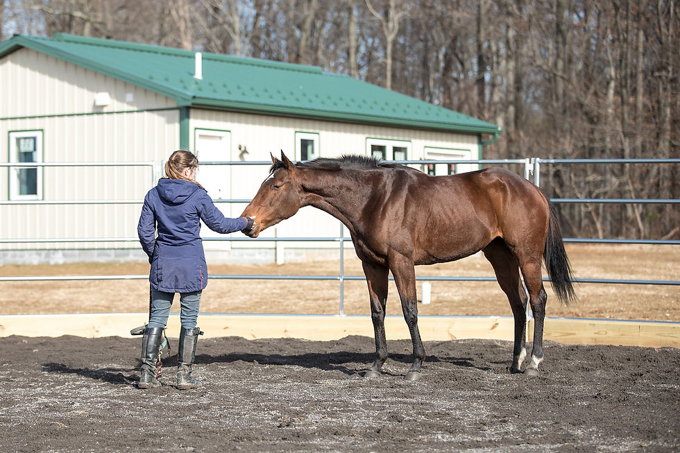 Bonnie McRae working with a mare at ATR