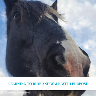 Learning To Ride and Walk With Purpose