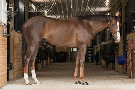 Isolation Road – “Solo”