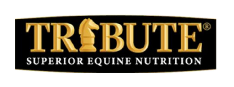 Black TRIBUTE logo with gold lettering and chess knight icon, plus Superior Equine Nutrition text.
