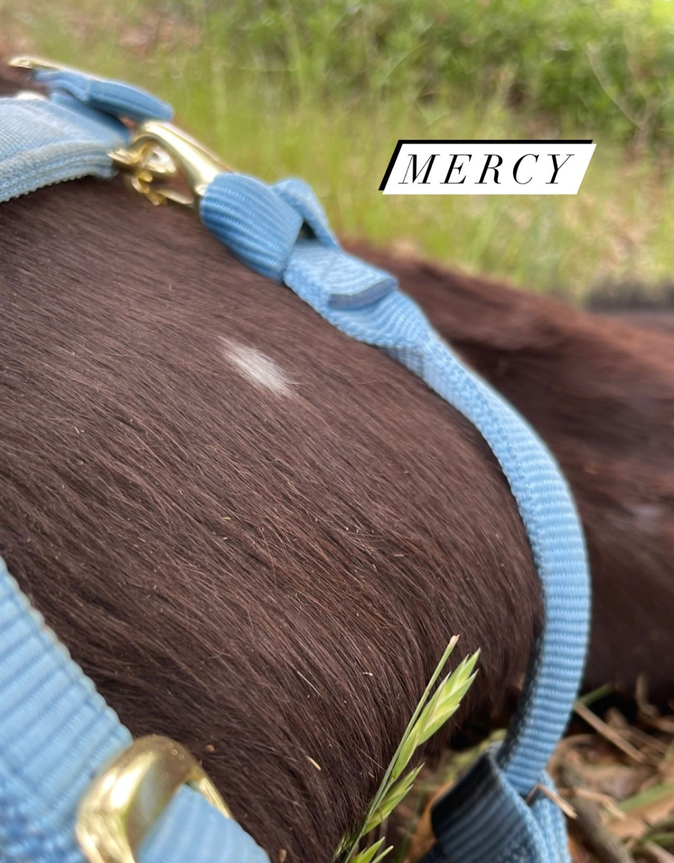 Mercy