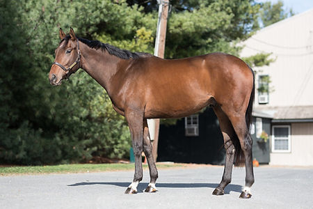 Mio Soldatino – “Soldier”