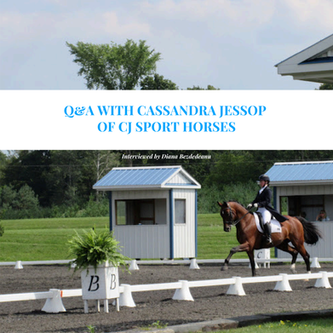 Q&A With Cassandra Jessop Of CJ Sport Horses