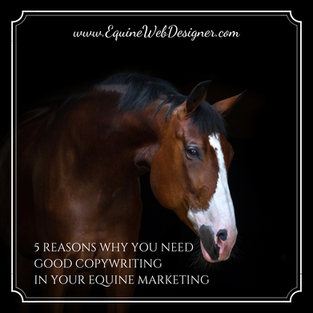5 Reasons Why You Need Good Copywriting In Your Equine Marketing