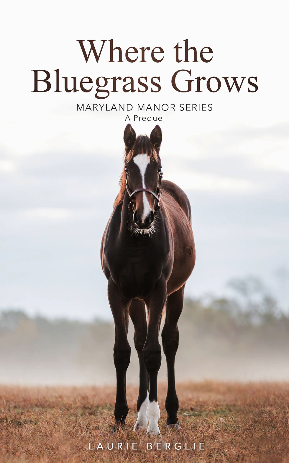 A bay horse stands on a misty field. Text above reads "Where the Bluegrass Grows," below "Laurie Berglie." Peaceful, muted colors.