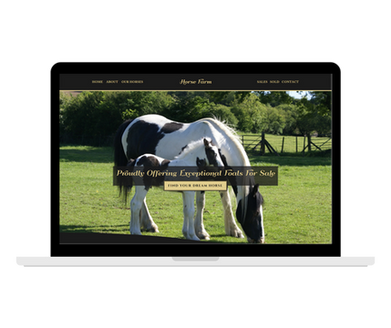 Horse Breeder Website Template by Equine Web Designer