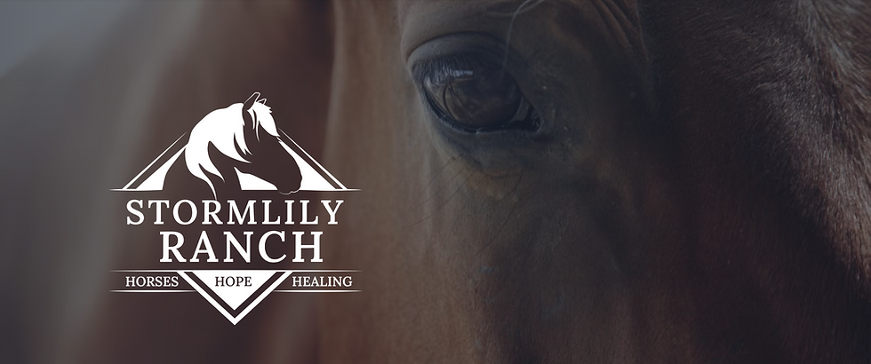 Close-up of a horse eye beside the Stormlily Ranch logo with Horses Hope Healing on a dark rustic background.