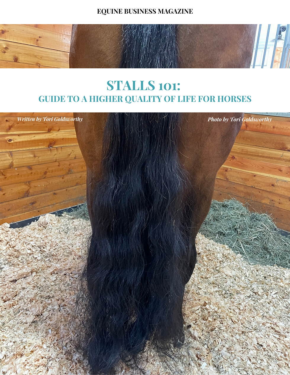 Horse's tail in a wooden stall bedded with shavings. Text: Stalls 101: Guide to a Higher Quality of Life for Horses. Photo by Tori Goldsworthy