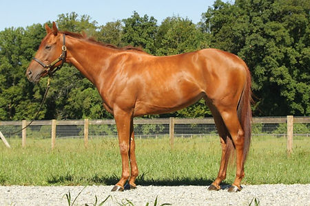 That’s What We Do – “Gigi”