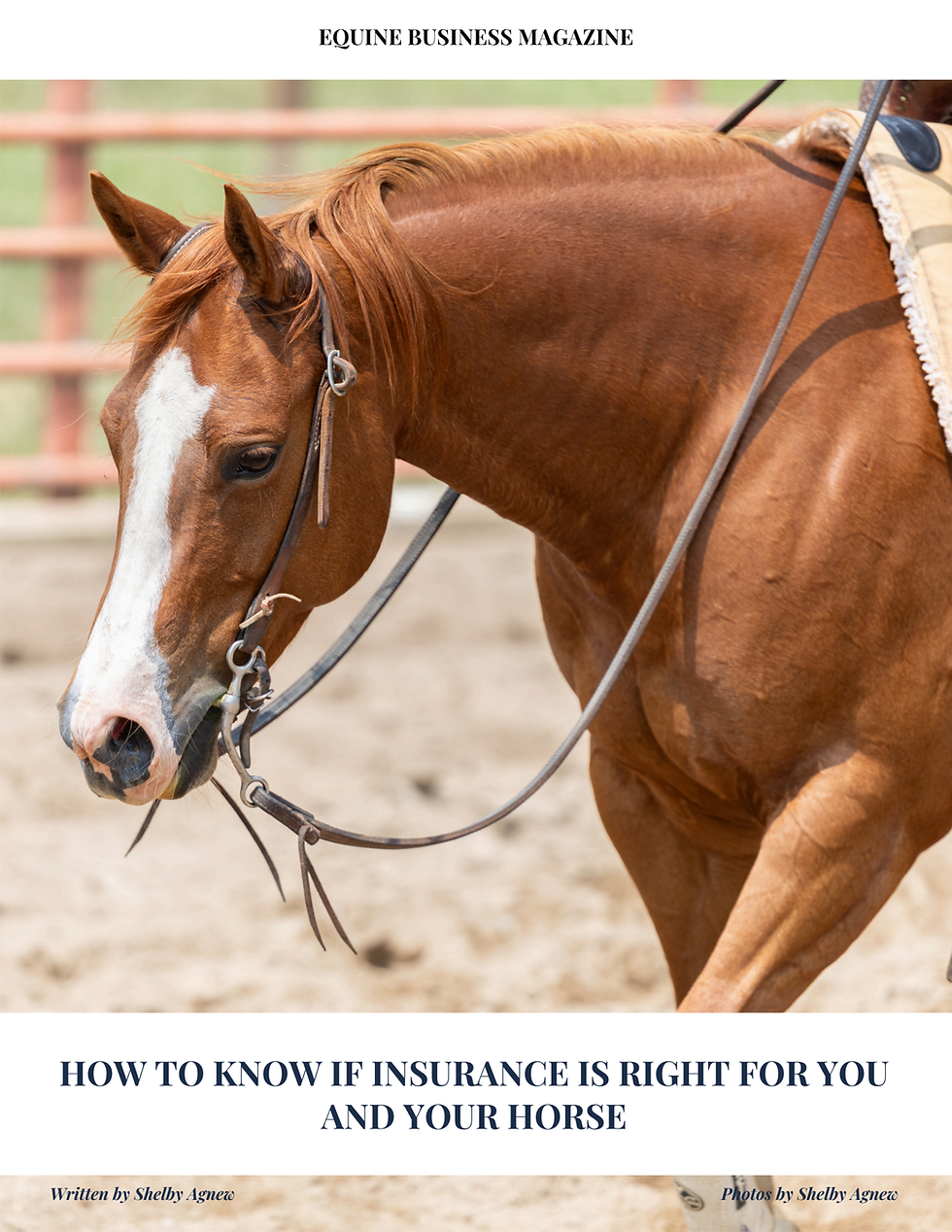 Chestnut horse with a white blaze, wearing a bridle, standing in a sandy paddock. Magazine text: Equine Business Magazine, How To know If Insurance Is Right For You And Your Horse. Photo by Shelby Agnew