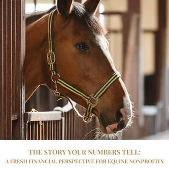 The Story Your Numbers Tell: A Fresh Financial Perspective For Equine Nonprofits