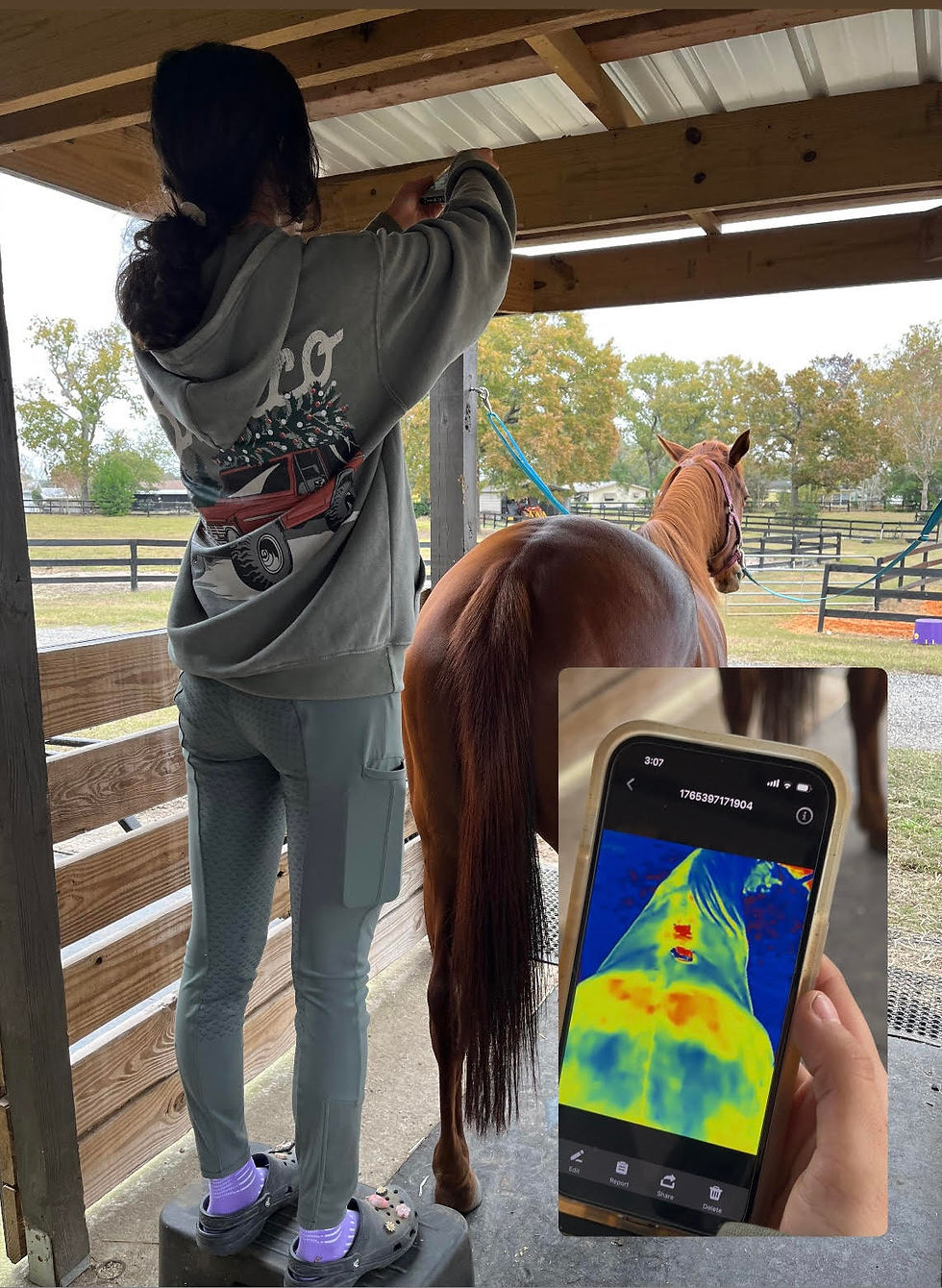 Person in a hoodie adjusts a camera on a porch next to a brown horse. A phone shows a thermal image. Trees and a fence visible outside.