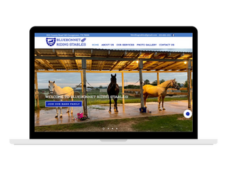 Bluebonnet Riding Stables Website Design by Equine Web Designer