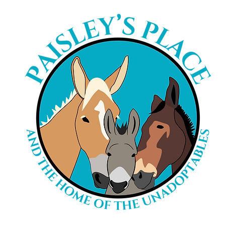 Logo | Paisley's Place and the home of the Unadoptables is an equine rescue in NH.