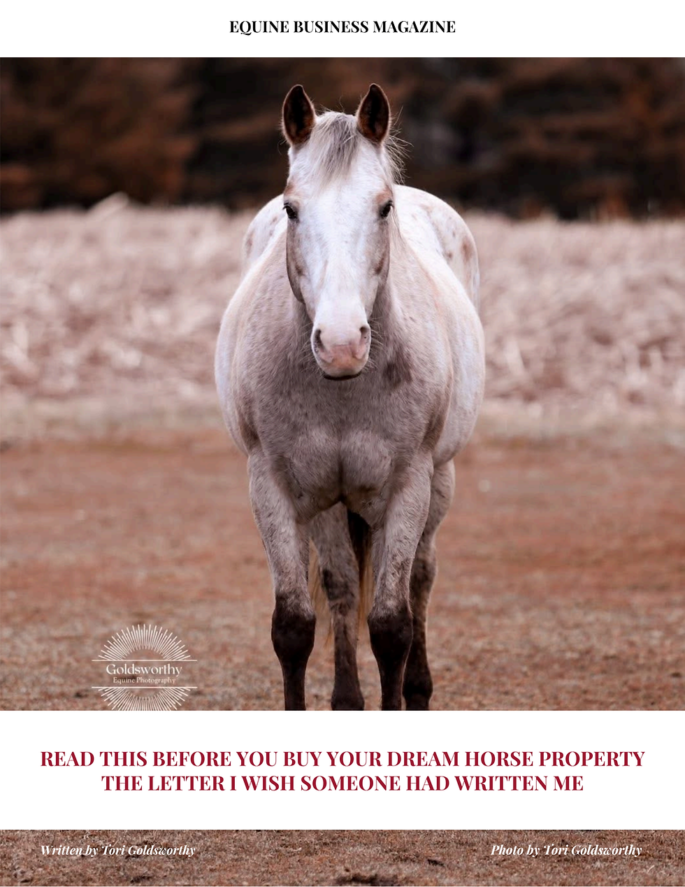 Roan horse standing in a field, with trees in the background. Text: "Read This Before You Buy Your Dream Horse Property—The Letter I Wish Someone Had Written Me" Photo by Tori Goldsworthy