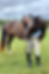 Jillian smiles hugging a bay horse in a grassy field, wearing riding gear. The horse has a brown coat with a white blaze. Cloudy sky.