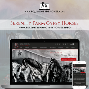 Serenity Farm Gypsy Horses